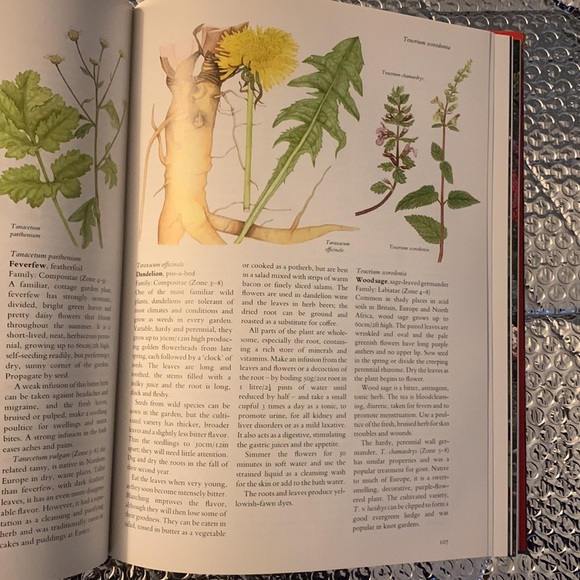 The complete book of Herbs & spices Sara garland - Picture 3 of 5